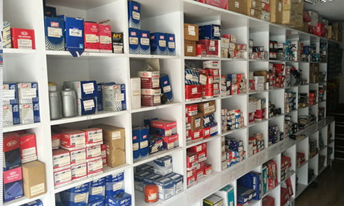 Samsun Özel Kia Servis