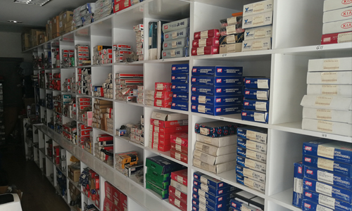 Samsun Özel Kia Servis