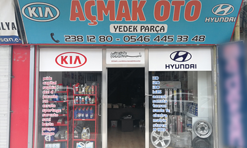 Samsun Özel Kia Servis
